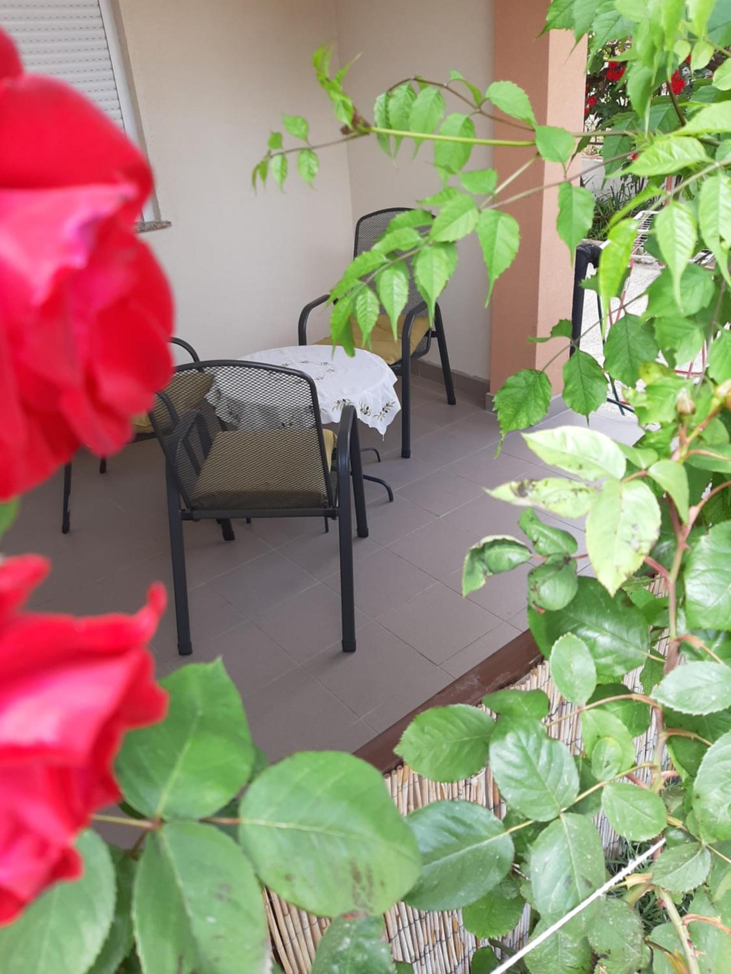 Luna Maris Apartments Zadar Bagian luar foto
