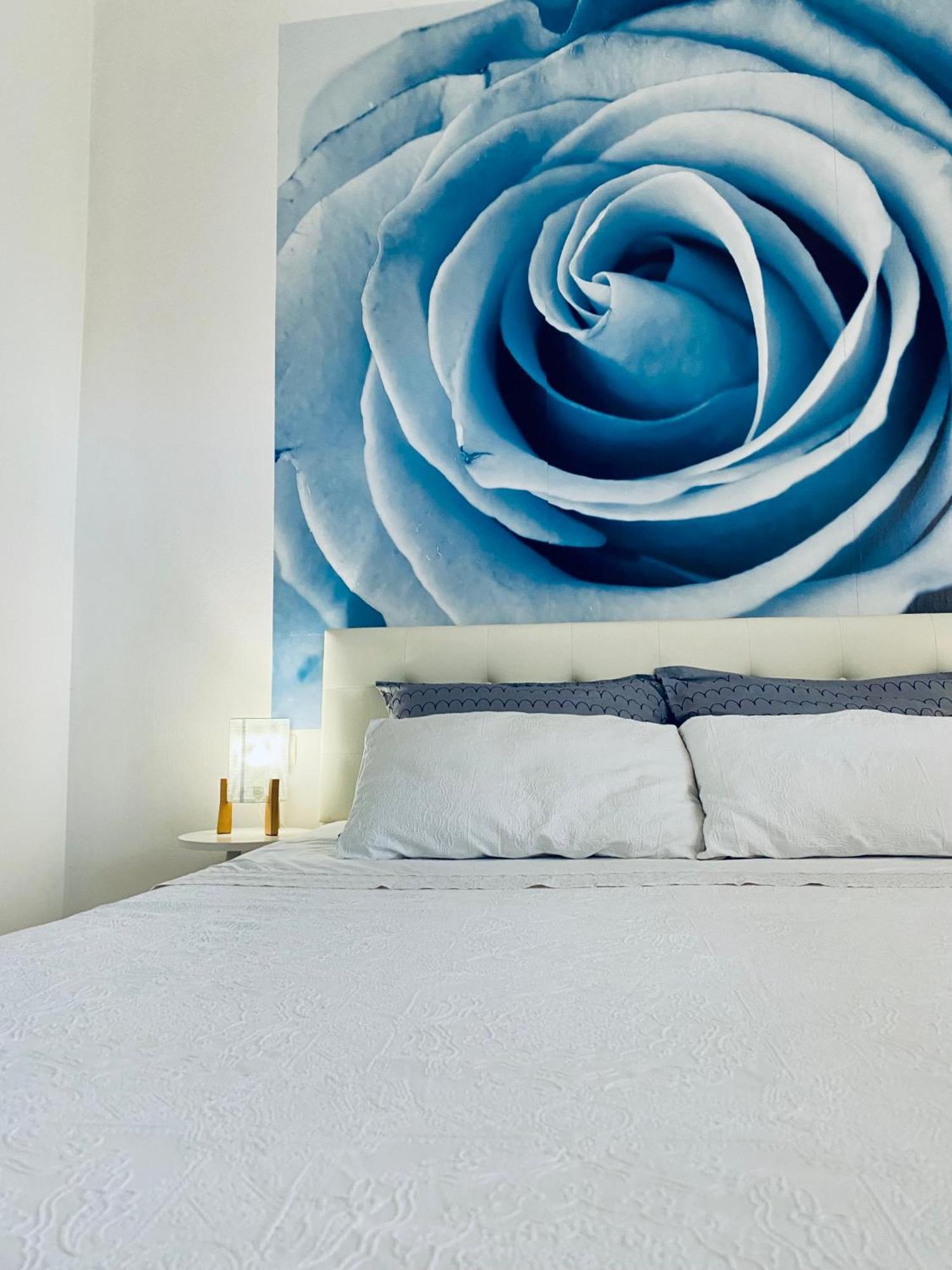 Luna Maris Apartments Zadar Bagian luar foto